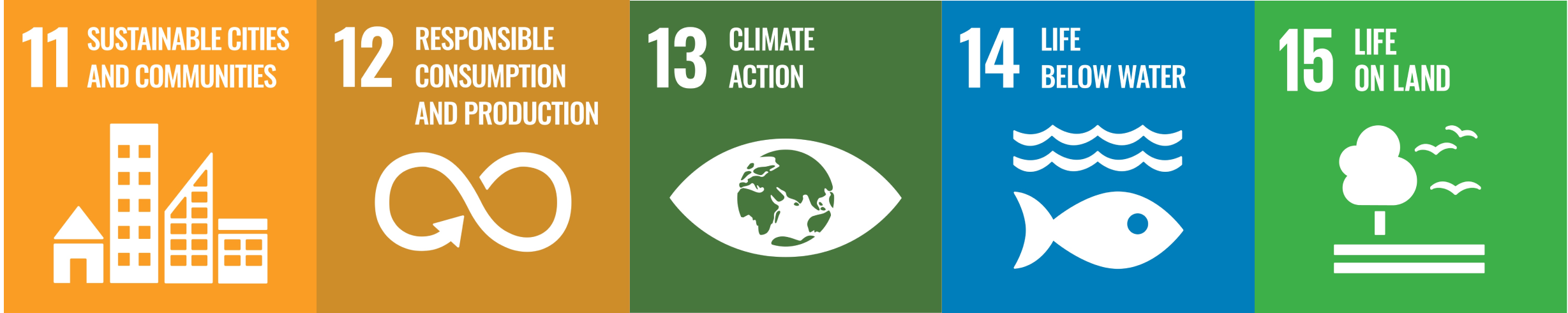 SDG images